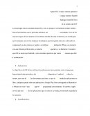 IOS el mejor sistema operativo
