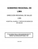 PLAN DE TRABAJO PARA LA TOMA DE INVENTARIO FÍSICO DE EXISTENCIAS Y PRODUCTOS FARMACÉUTICOS DEL HOSPITAL “SAN JUAN BAUTISTA” HUARAL - 2019