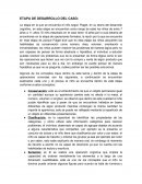 Propuesta pedagógica para trabajar historia