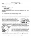 PRUEBA DE LENGUAJE Y COMUNICACIÓN