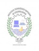 Ensayo Juan Salvador Gaviota