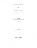 Descripción del impacto de la cultura fisica