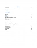 El ensayo de Compresión Simple