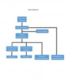 Organigrama. Estrategias para la comunicación interna