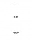 Preinforme de laboratorio movimiento uniformemente acelerado