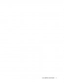 Los caballo estornudan en la Lluvia