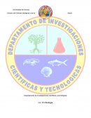 Biología de algas ciliados