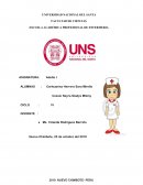 PROCESO DE CUIDADO DE ENFERMERÍA DEL ADULTO