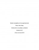 Gestion energética en las organizaciones