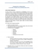 LA ACCIÓN TUTORIAL EN EL SISTEMA EDUCATIVO