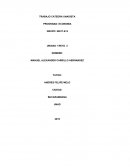 ENSAYO FUNDAMENTOS ECONOMIA