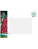 Los programas de INDAP como herramientas de apoyo para responder a las demandas de los mercados