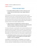 ECONOMIA. TEMAS DE DISCUSION