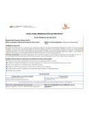 Proyecto harina de maiz