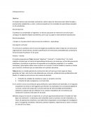 Trabajo Enfoques técnico