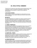 El ciclo vital humano