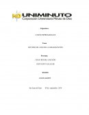 ESTUDIO DE CASO DE LA ORGANIZACION