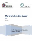 Ev7.- Reporte de la lectura de objetos visuales (bidimensionales y/o tridimensionales).