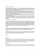 PLAN DE NEGOCIO APICULTURA