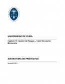 Taller Simulación Montecarlo