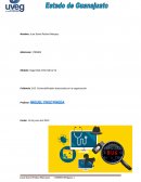 Vulnerabilidades detectadas en la organización