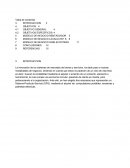 CASO NEGOCIO RENTADVISOR