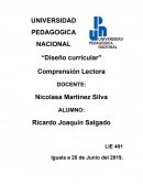 “Diseño curricular” Comprensión Lectora