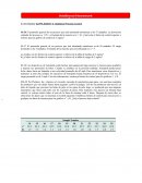 Heizer Prob adicionales cap 6s