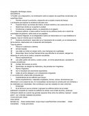 Geografía: Morfologia urbana