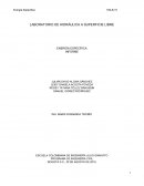 ENERGÍA ESPECÍFICA . INFORME