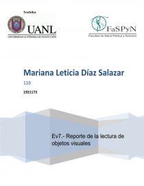 Ev7.- Reporte de la lectura de objetos visuales (bidimensionales y/o tridimensionales).. Página 1