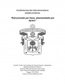 Ensayo sobre la inseguridad