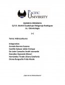 QUIMICA ORGÁNICA ¿Qué son los hidrocarburos?
