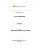 CONTADURÍA PÚBLICA , FUNDAMENTOS DE DERECHO