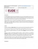 CASO PRATICO CREATIVIDAD Y PUBLICIDAD ONLINE