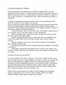 PLAN DE ENTRENAMIENTO SEMANAL