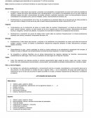 Estrategias de mejoramiento