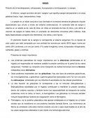 Hematopoyesis sangre