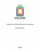 Trabajo Final de Administración de Empresas