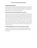 LA SERIE “EN TERAPIA”