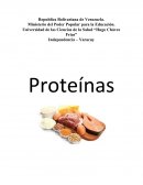 Proteínas: función,fuente