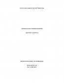 ELECCION CANALES DE DISTRIBUCION