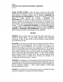 DECLARACION DE PERTENENCIA-LEY 1564 DE 2012 MODELO. Página 1