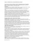 ANÁLISIS ORIENTADO A OBJETO. Características de los Objetos: Identidad, Clasificación, Polimorfismo, Herencia y Encapsulado