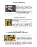 La sociedad y sus tipos