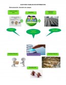 GRAFICA ELECCION CANALES DE DISTRIBUCION