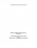 LOS TURISTAS EN EL FESTIVAL VALLENATO