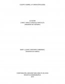 Cuento Sobre Fundación Eudes