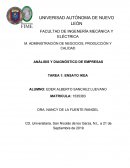 ANÁLISIS Y DIAGNÓSTICO DE EMPRESAS. Caso IKEA