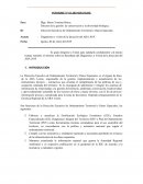 Diagnóstico y visión de la dirección del ARA 2019